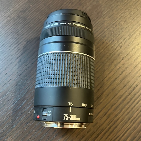 Canon EF 75-300 mm (f/4 - 5.6 lll)